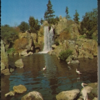 Panoramic waterfall and storks, Busch Gardens, Van Nuys, CA.