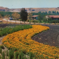 Pierce Junior College farm area, Woodland Hills, CA.