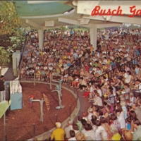 Bird show, Busch Gardens, Van Nuys, CA.