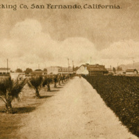 "Pacific Packing Co.", San Fernando, CA.