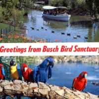 Bird Sanctuary, Busch Gardens, Van Nuys, CA.