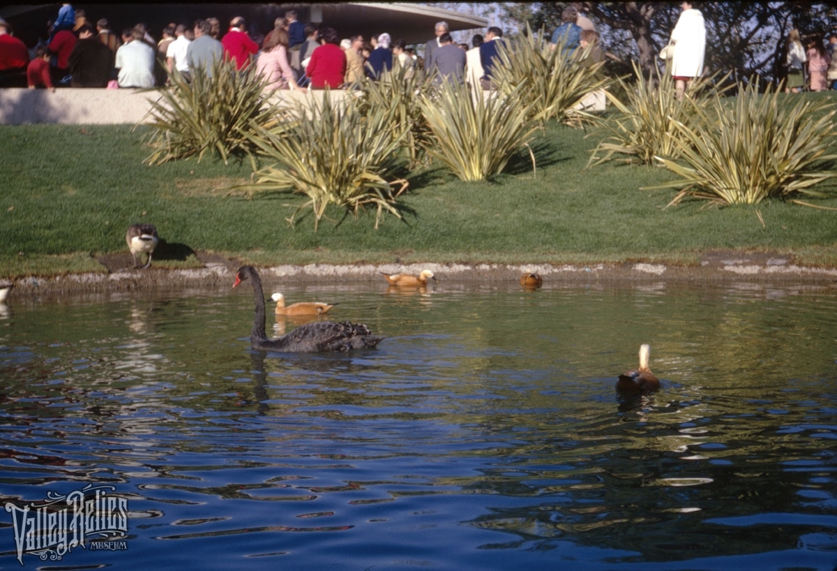 Busch Gardens Van Nuys. CA 1970's - Valley Relics Museum