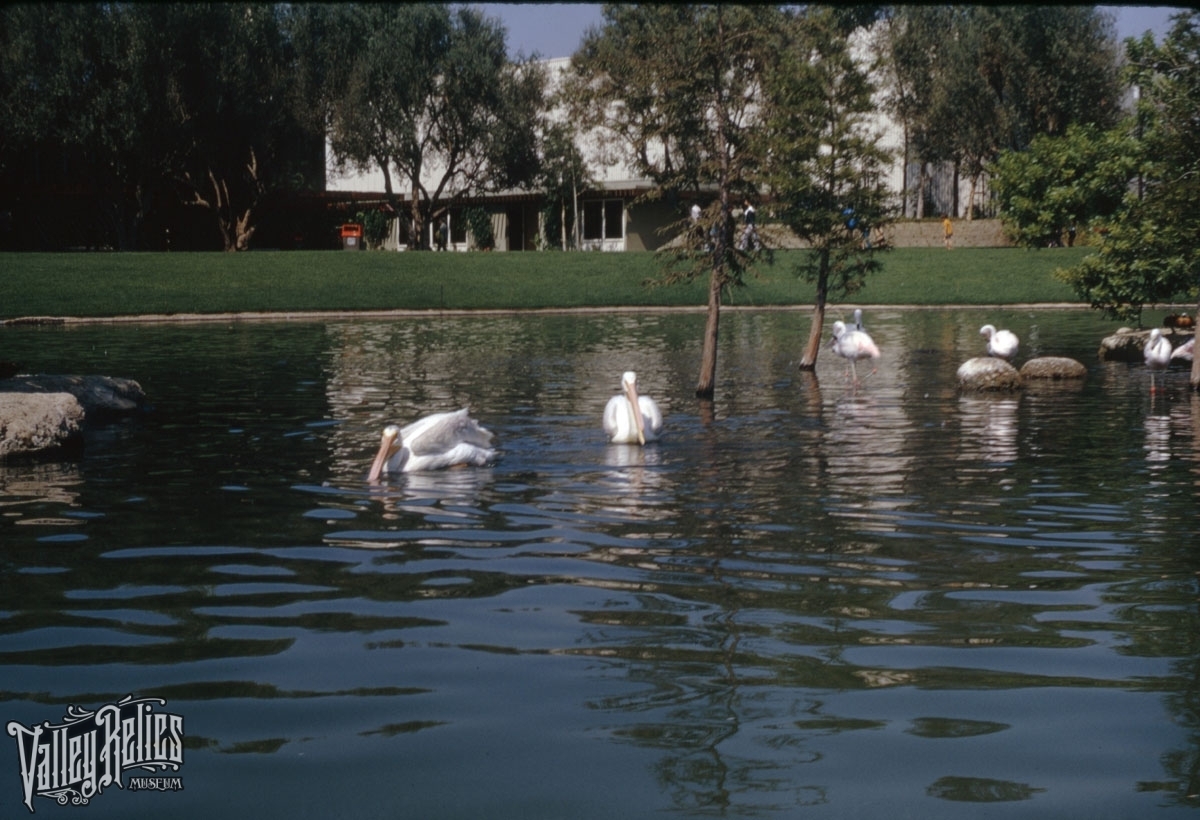 Busch Gardens Van Nuys. CA 1970's - Valley Relics Museum